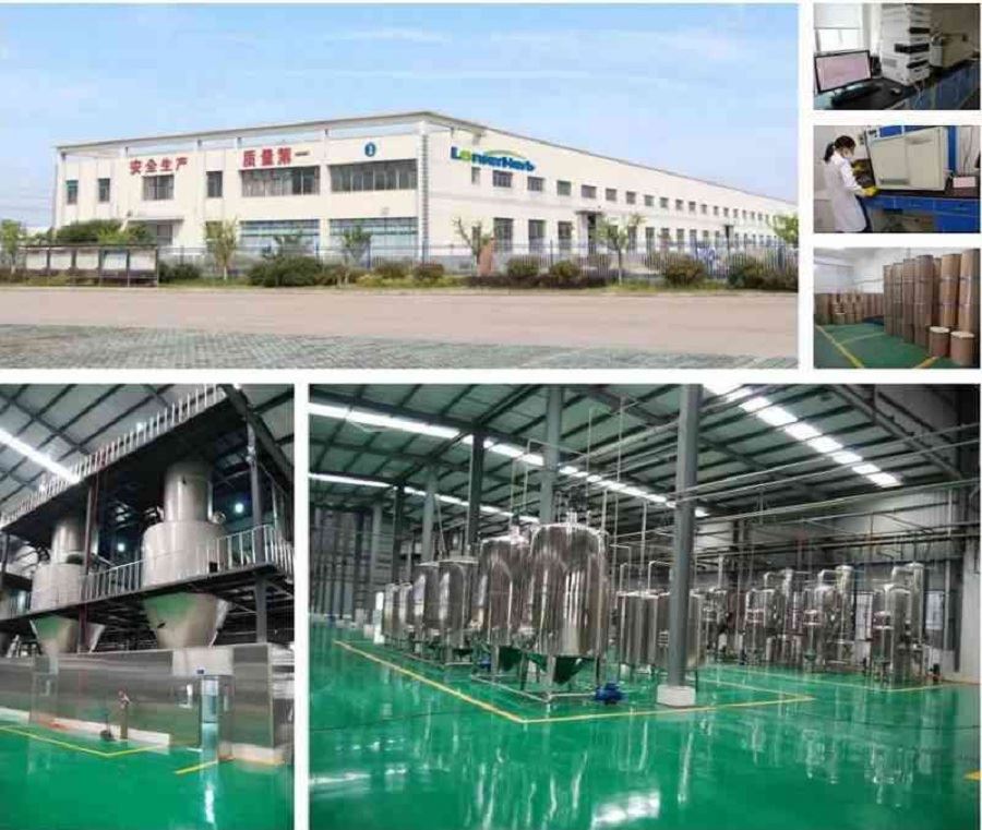 LonierHerb Factory Okra