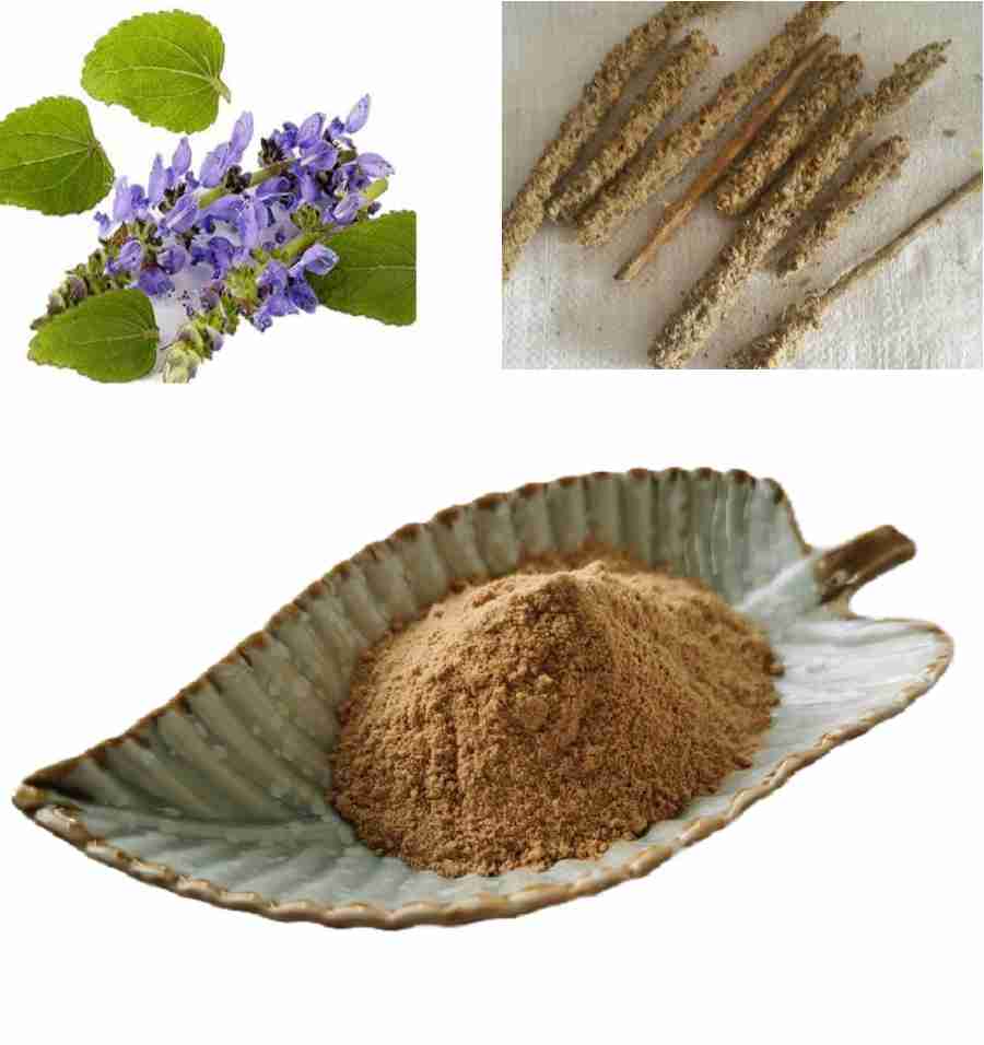 Coleus forskohlii Extract (2)