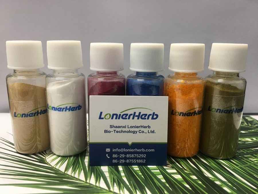 Coleus forskholii extract
