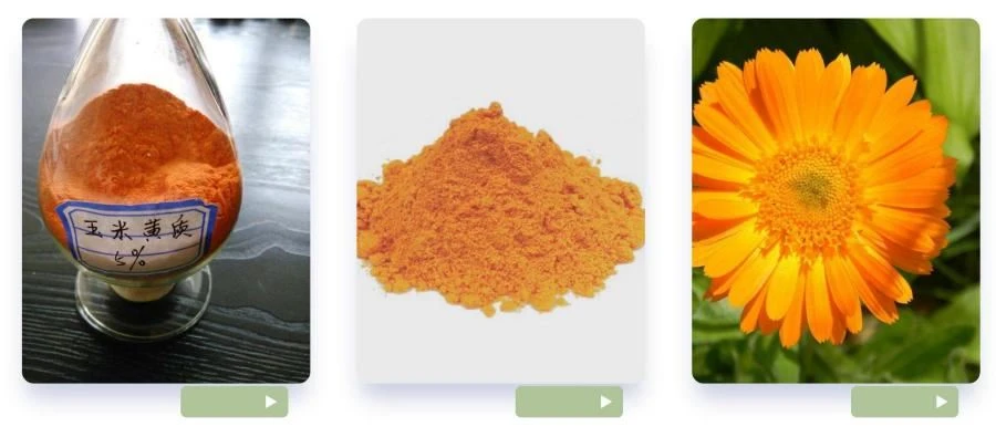 Zeaxanthin Powder,Zeaxanthin 5%