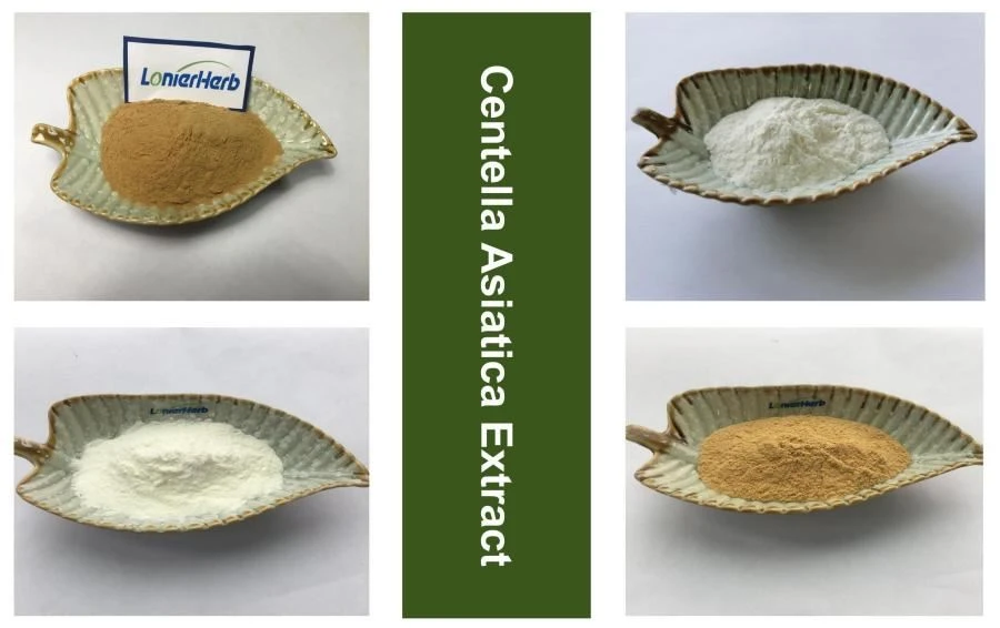 Centella Asiatica  Extract