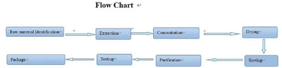 DNJ Flow Chat