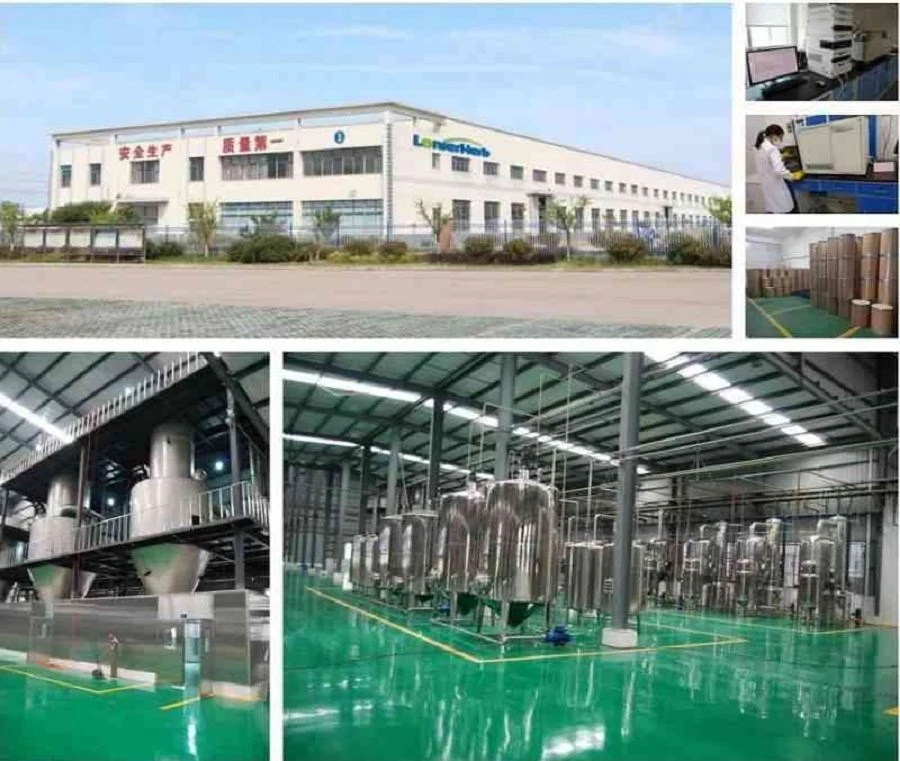 Factory