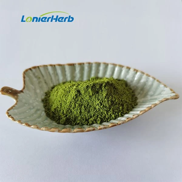 Matcha Tea Extract