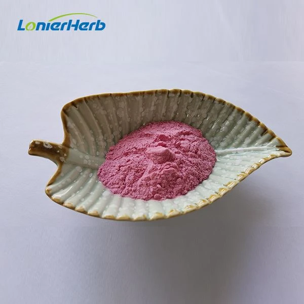 Pomegranate Juice Powder suppliers