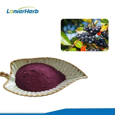 Aronia-aroniauute